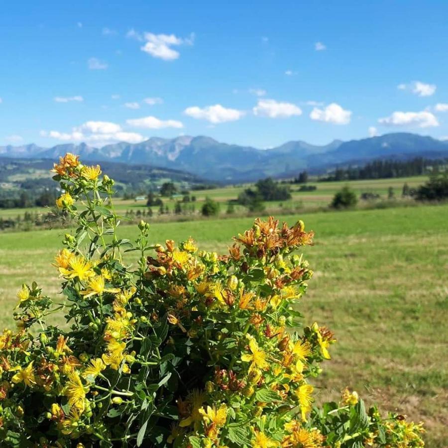 Magurskie Bywanie Witów Esterno foto