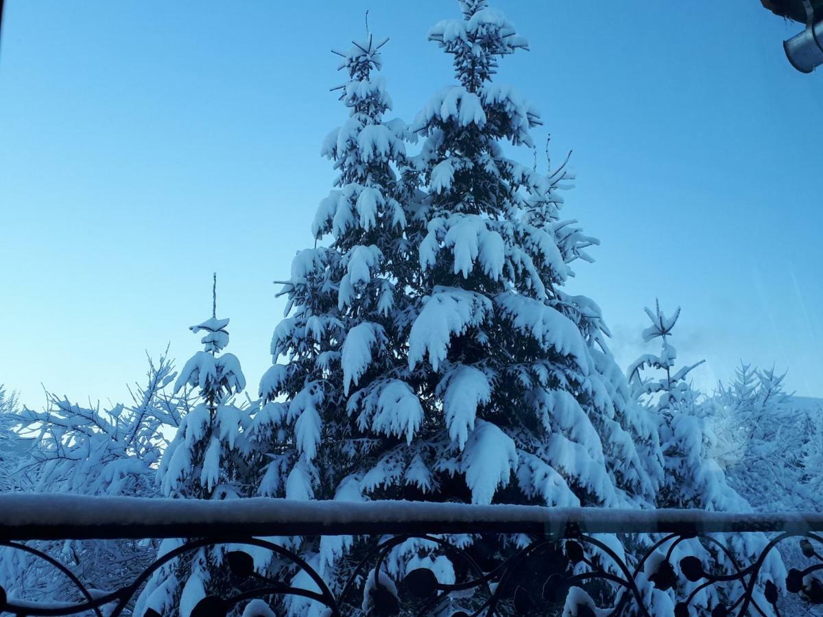Magurskie Bywanie Witów Esterno foto
